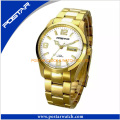 Swiss Quality Stainless Steel Wristwatch Automatic Watch